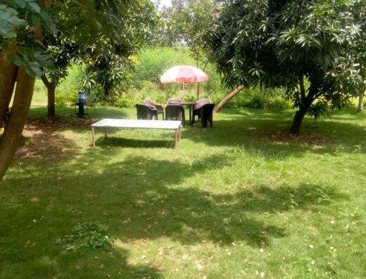 Mars Nature Resort