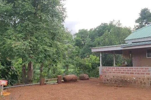 Alavekar Joy Farms