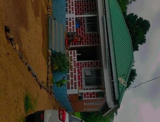 Alavekar Joy Farms