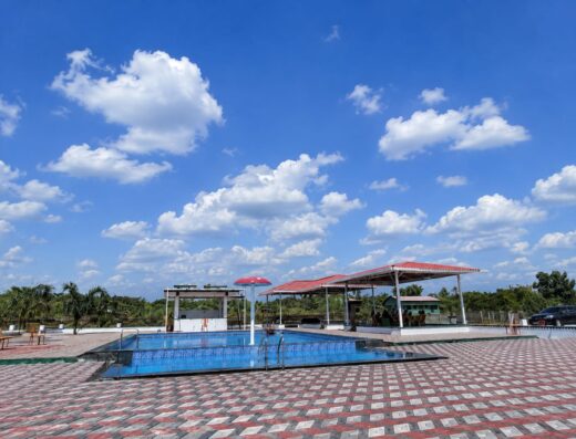 Bhola Sai Farms